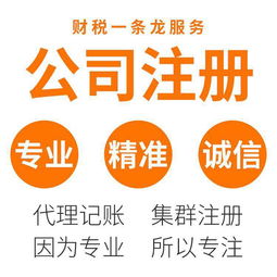 東莞虎門(mén)專業(yè)代辦服務(wù) 營(yíng)業(yè)執(zhí)照辦理與代理記賬一站式解決方案